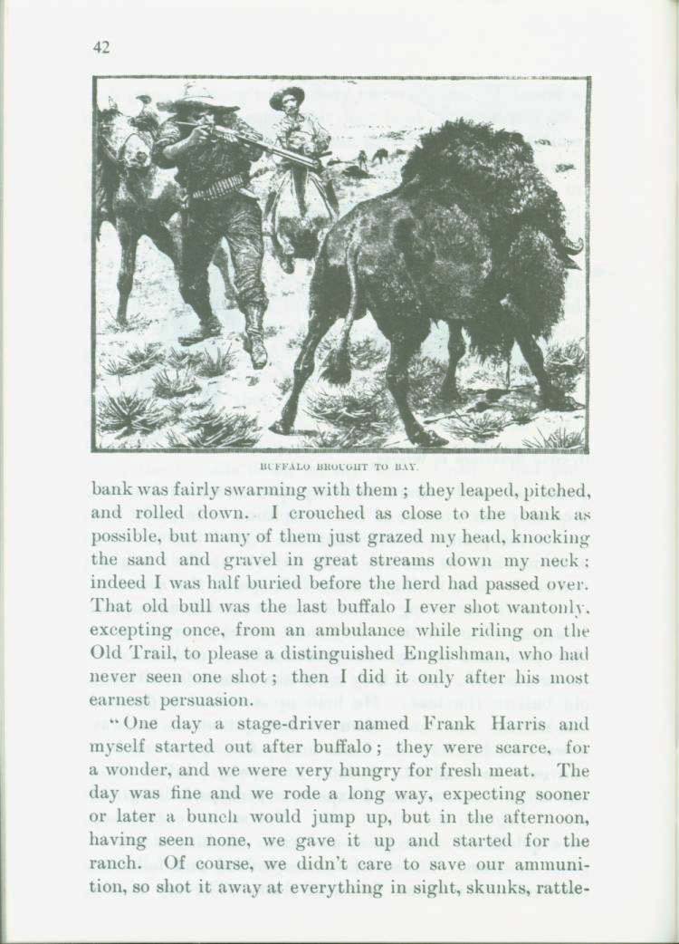 The Buffalo--1898. vist0028l